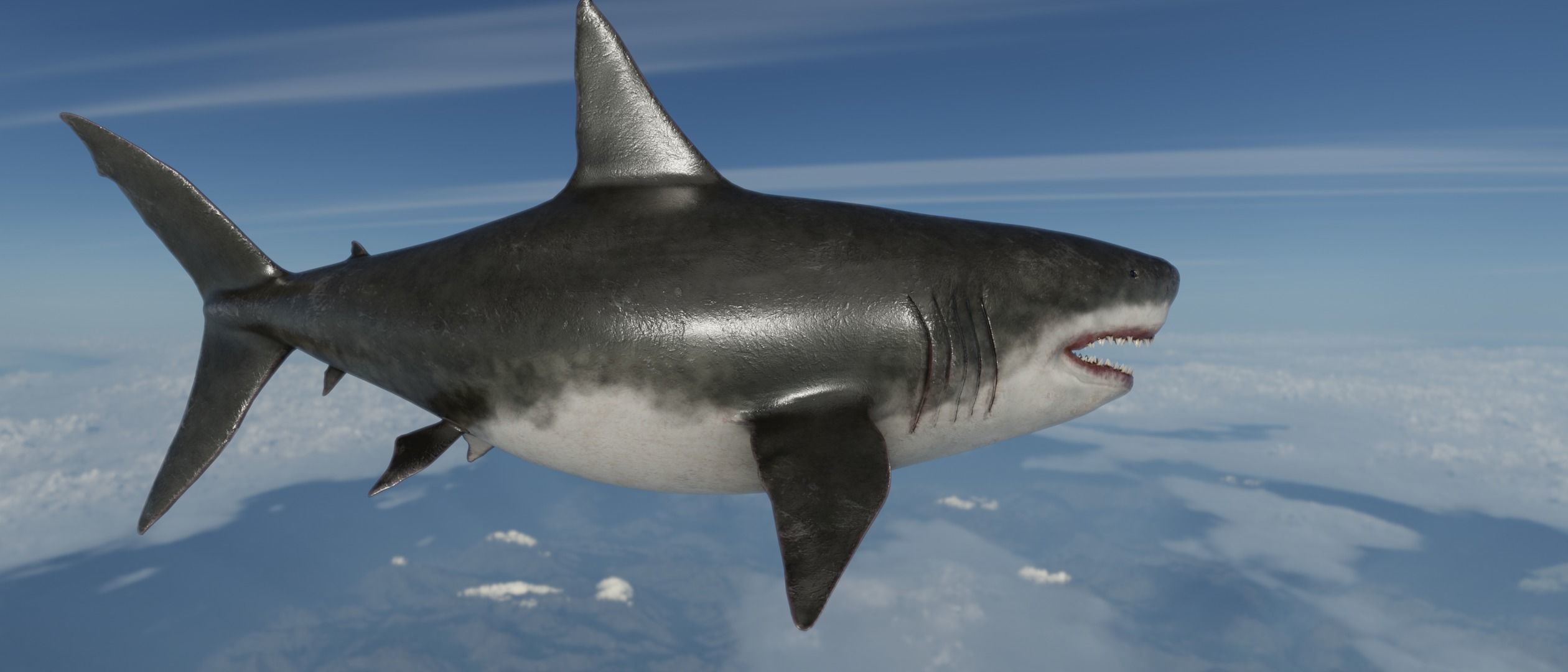 Megalodon Shark  Low-poly 3D model_8