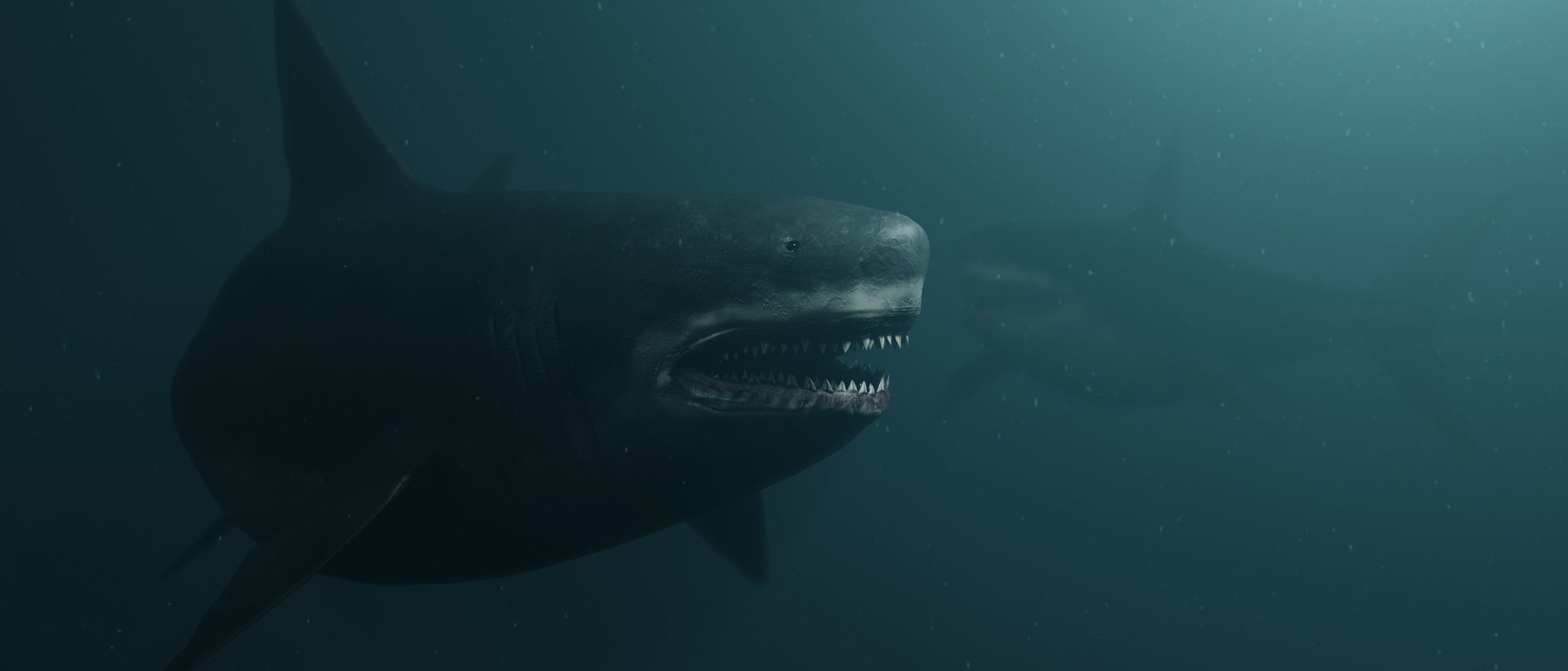 Megalodon Shark  Low-poly 3D model_2