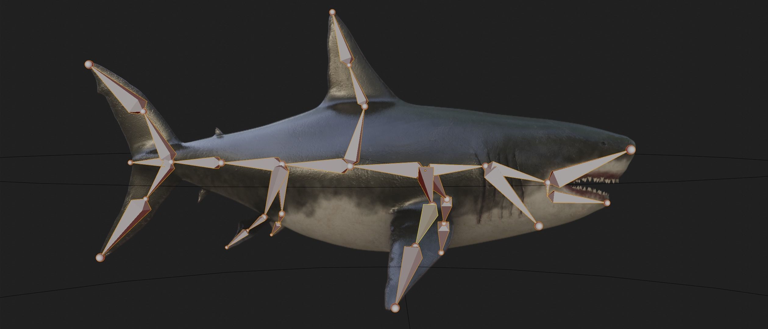 Megalodon Shark  Low-poly 3D model_16
