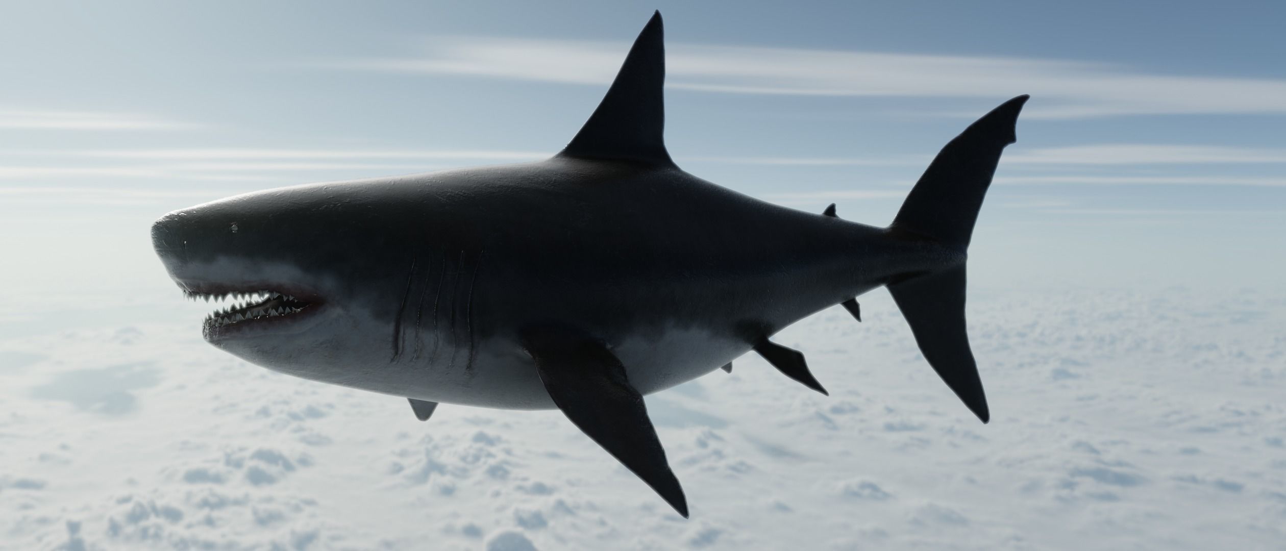 Megalodon Shark  Low-poly 3D model_9