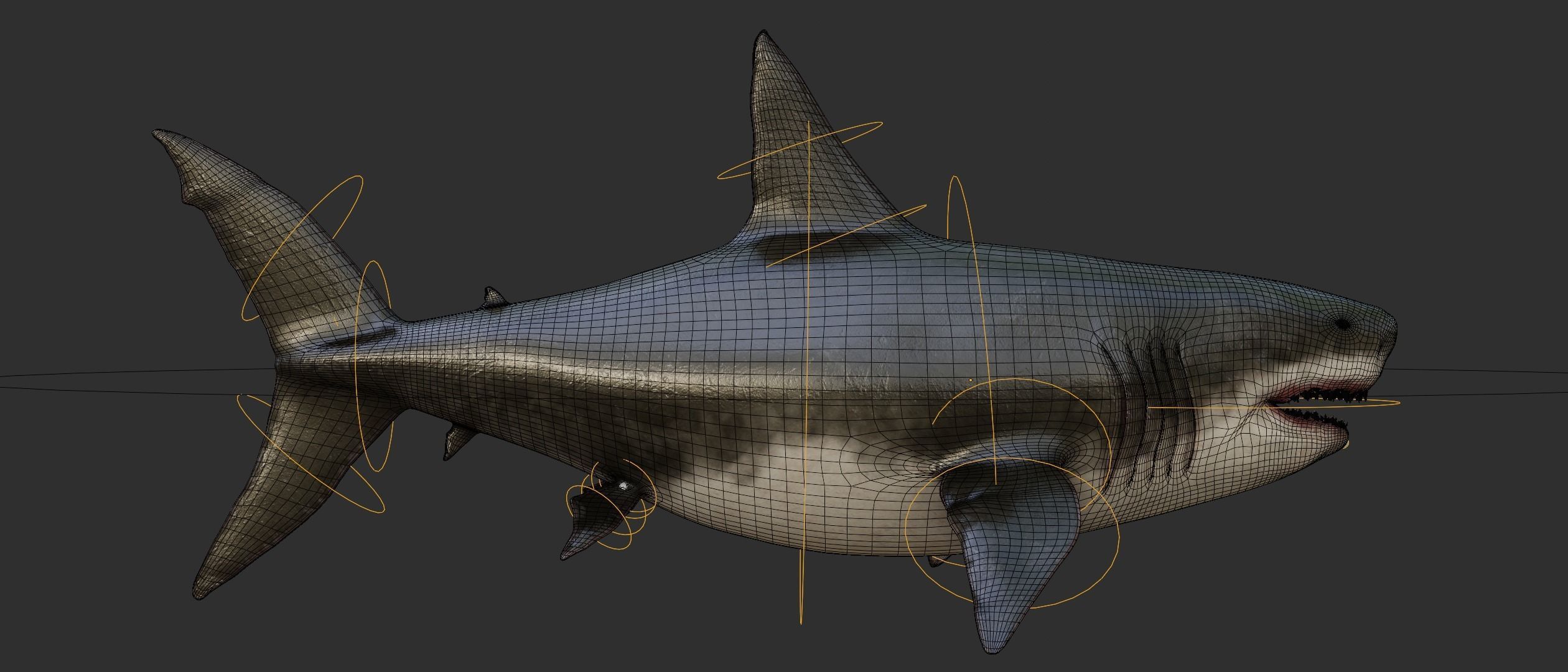 Megalodon Shark  Low-poly 3D model_10