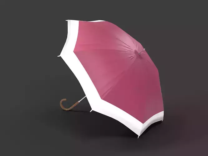 Generic Umbrella
