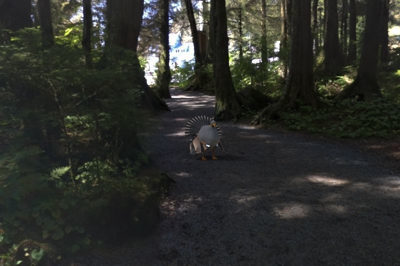 Chicken House Chicken Coop 3D model_2
