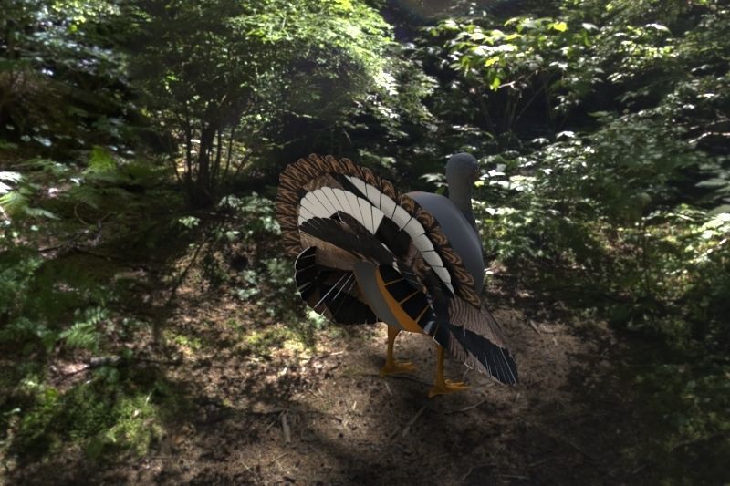 Chicken House Chicken Coop 3D model_4