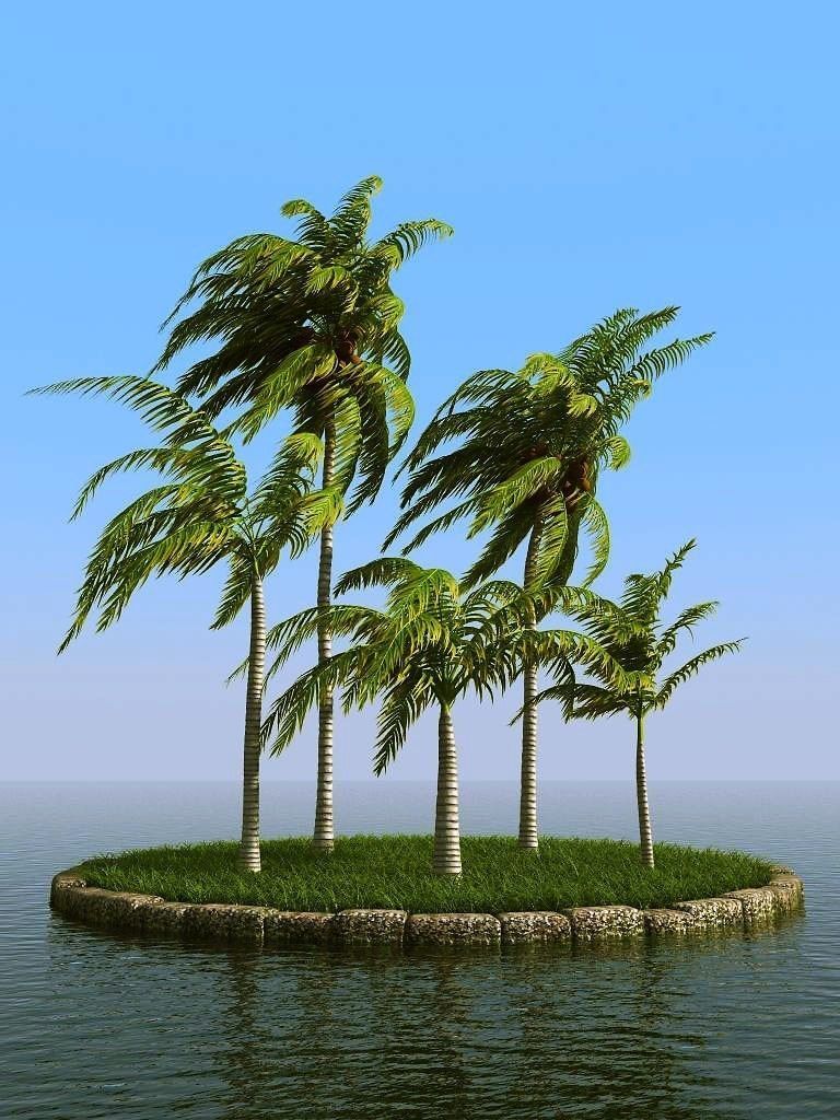 palm trees 3D model_19