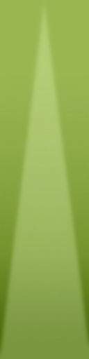 palm trees 3D model_72