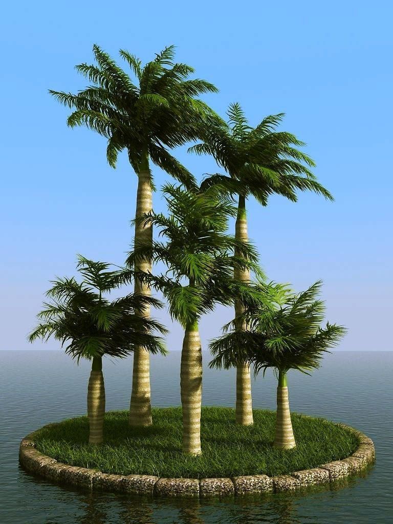 palm trees 3D model_52