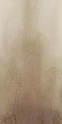 palm trees 3D model_70