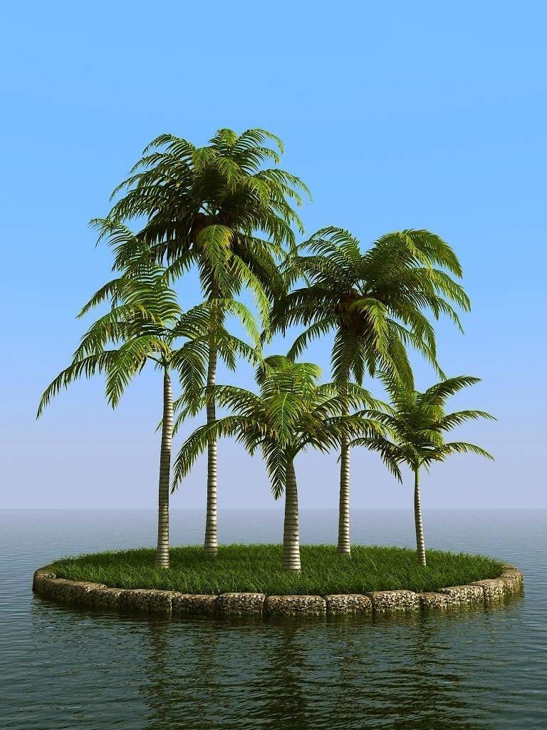palm trees 3D model_18