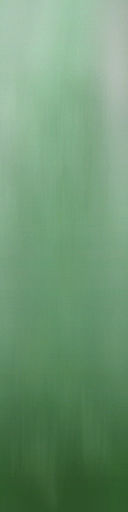 palm trees 3D model_81