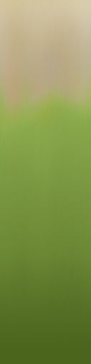 palm trees 3D model_76