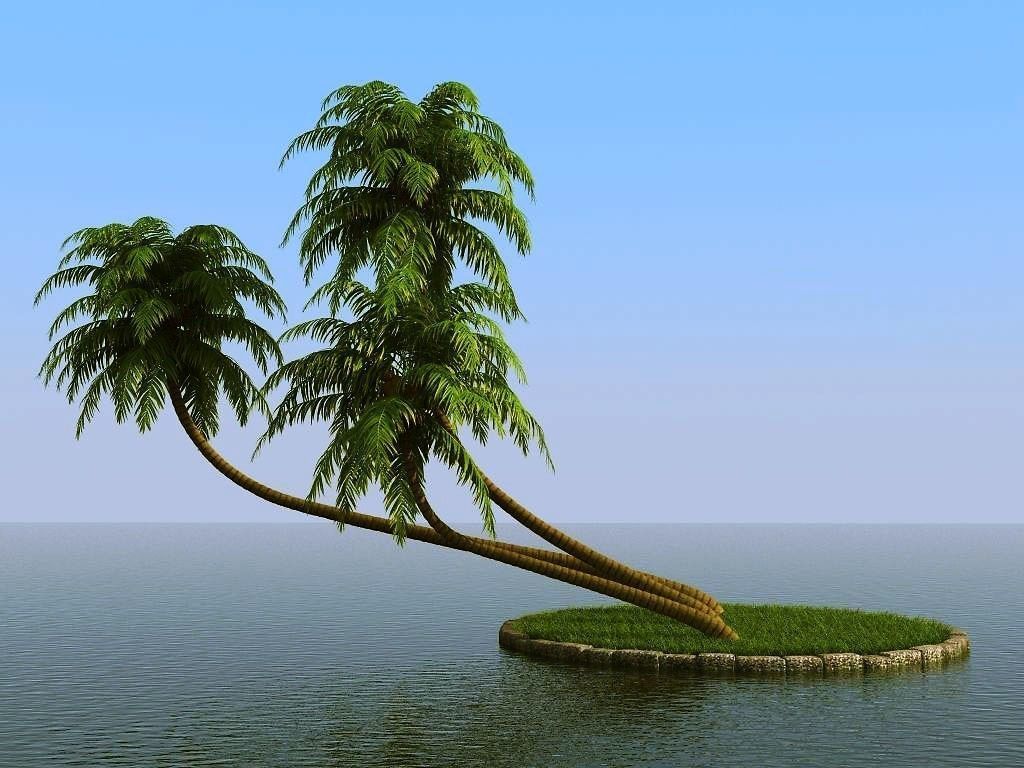 palm trees 3D model_22