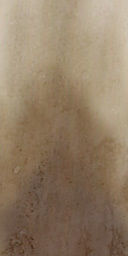 palm trees 3D model_78