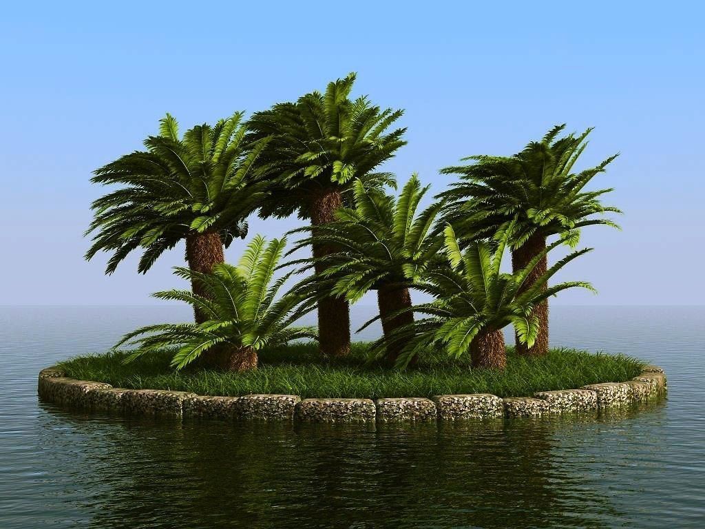 palm trees 3D model_60