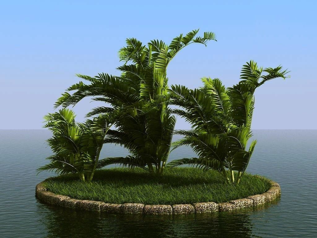 palm trees 3D model_3