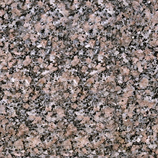 palm trees 3D model_91