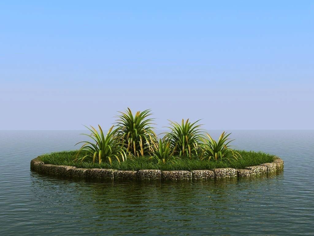 palm trees 3D model_67