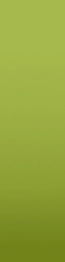 palm trees 3D model_87