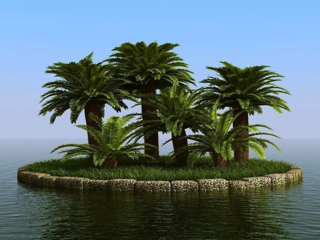 palm trees 3D model_59