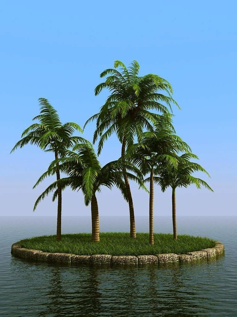 palm trees 3D model_16
