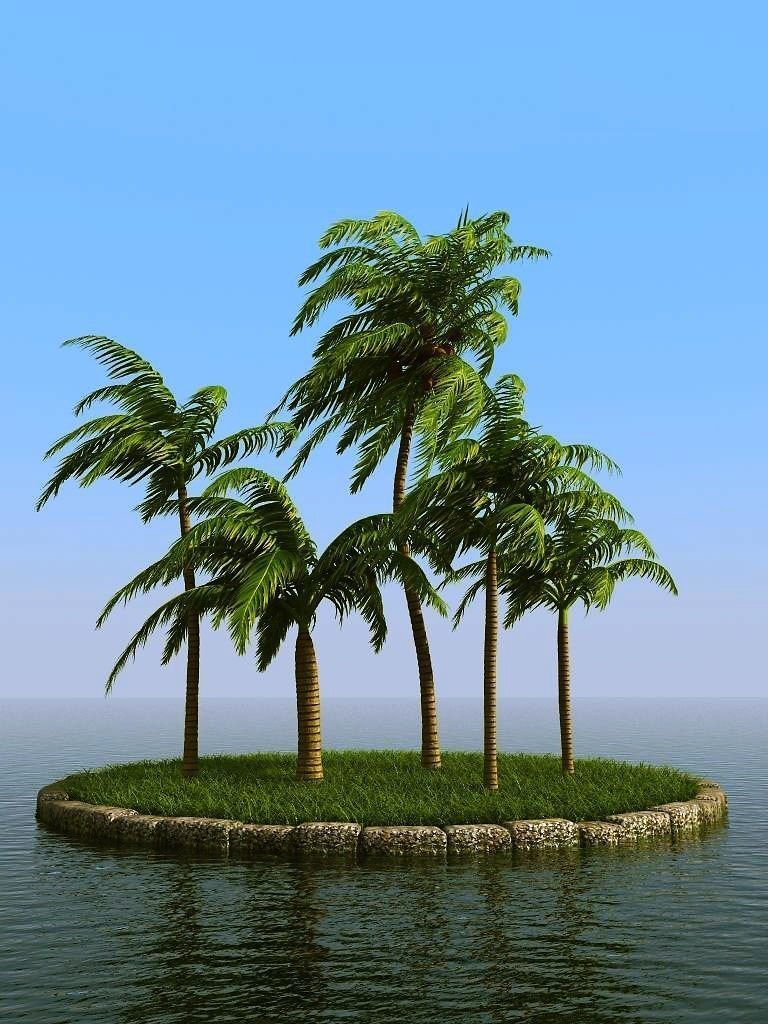 palm trees 3D model_17