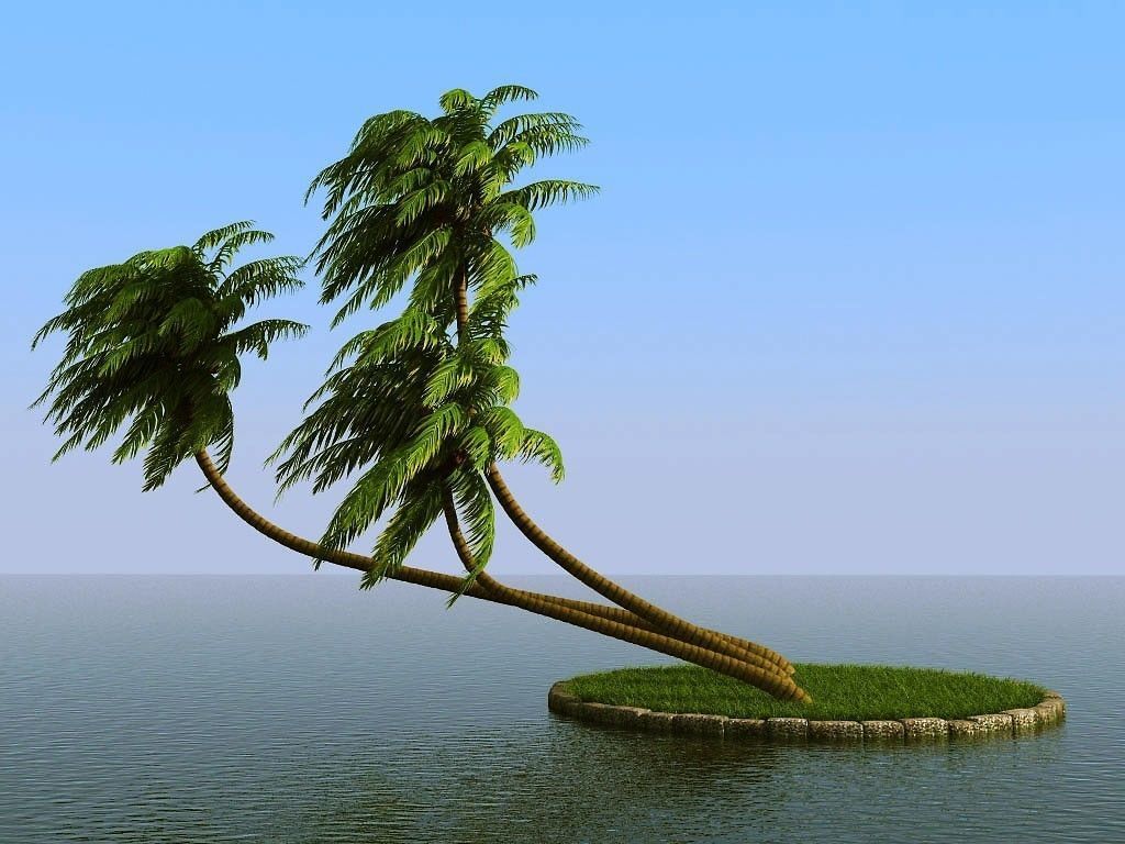 palm trees 3D model_24