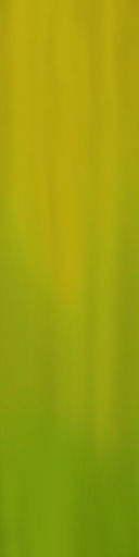 palm trees 3D model_90