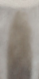 palm trees 3D model_74