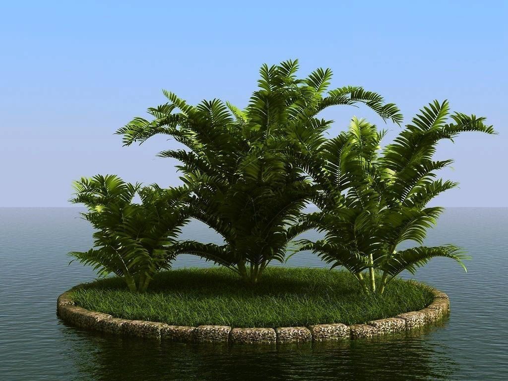 palm trees 3D model_2