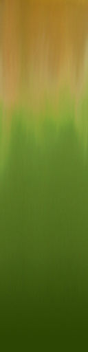 palm trees 3D model_85