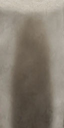 palm trees 3D model_82