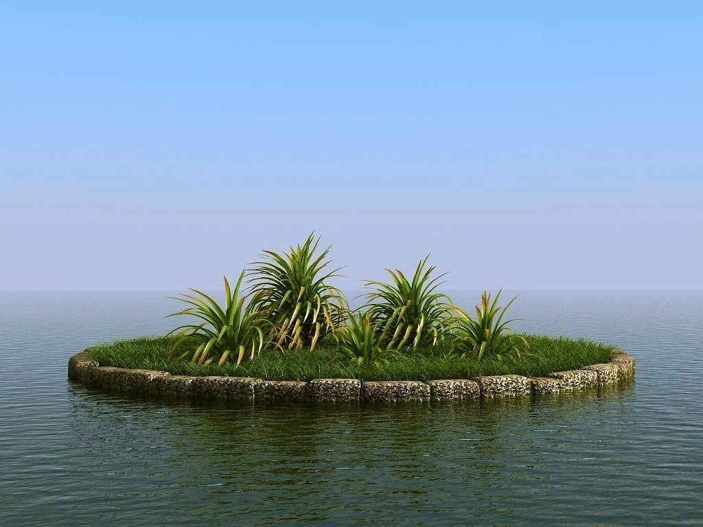 palm trees 3D model_68