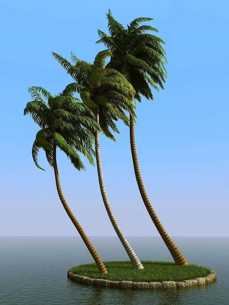 palm trees 3D model_29