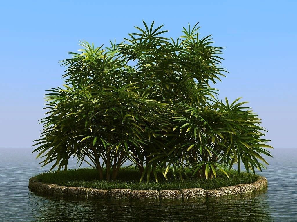 palm trees 3D model_39