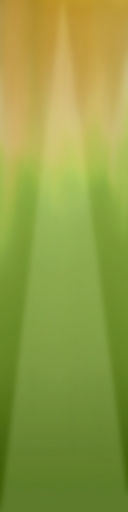 palm trees 3D model_89