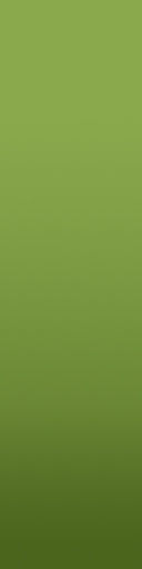 palm trees 3D model_77