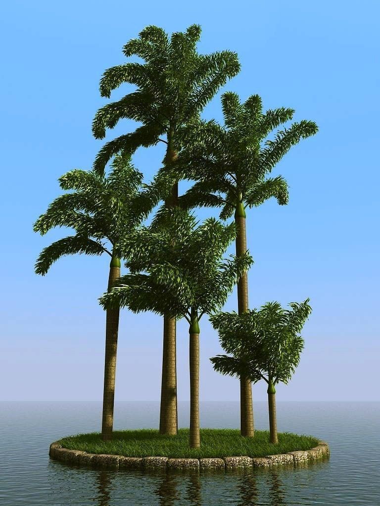 palm trees 3D model_38