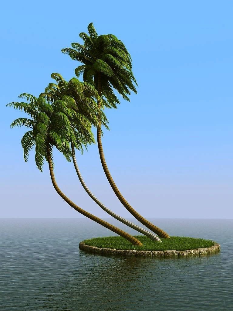 palm trees 3D model_26