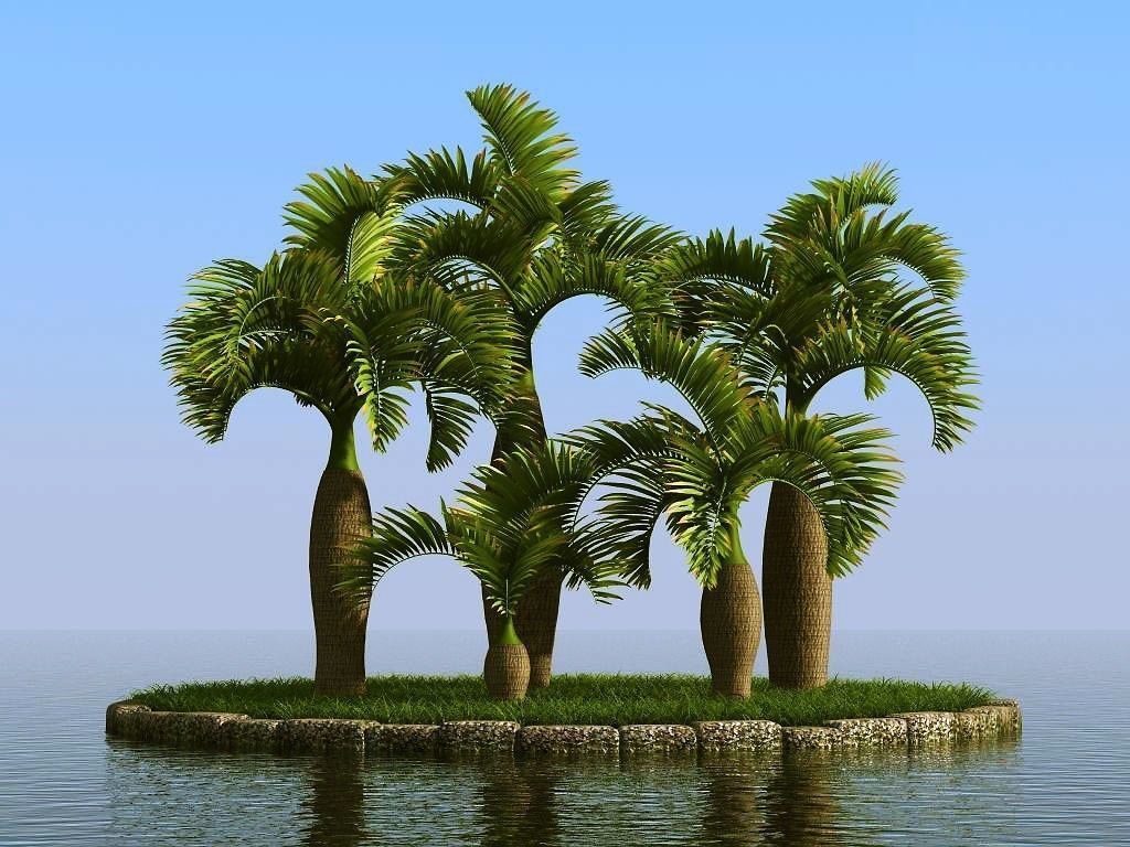 palm trees 3D model_6