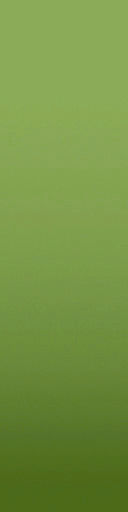 palm trees 3D model_79