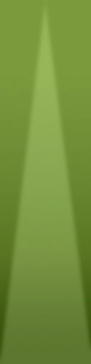 palm trees 3D model_84