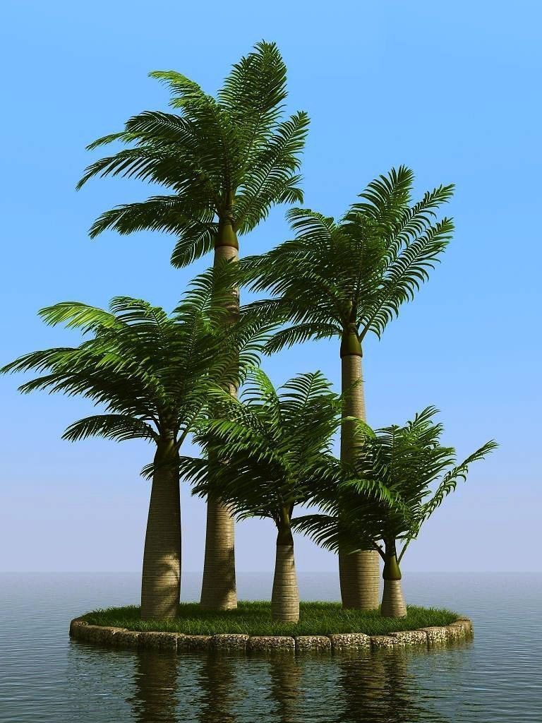 palm trees 3D model_44