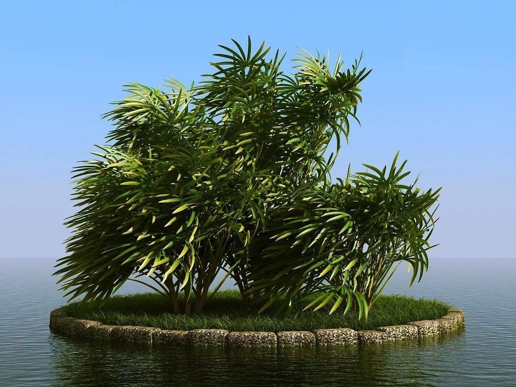 palm trees 3D model_40