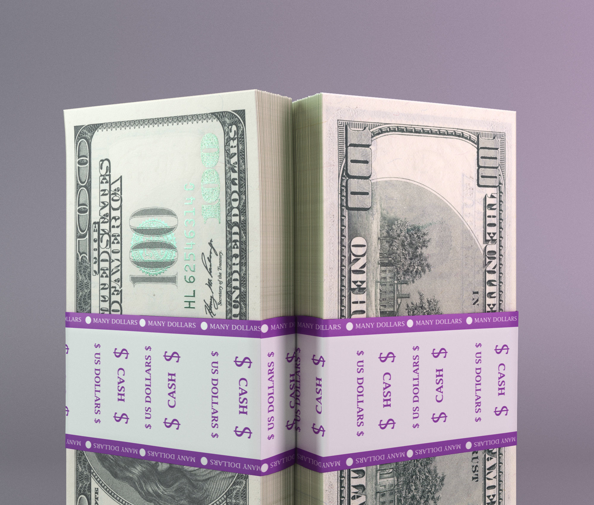 Set of dollar bills 3D model_3