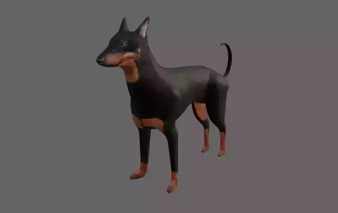 Dog Doberman - Low poly and High poly - Cachorro Low-poly 3D model