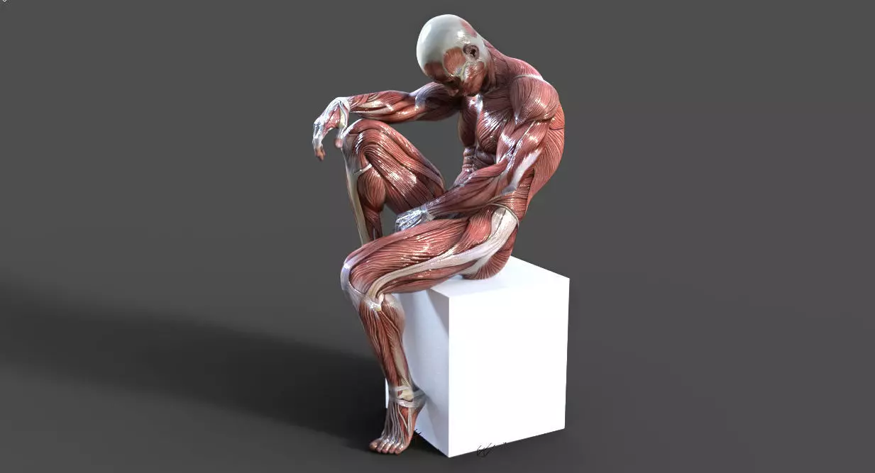 GodPose Anatomy 3D model 3D model_0