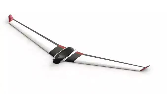 UAV Fixed Wing Skywalker X8 Model