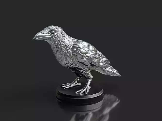Silver Crow Bird