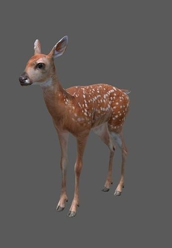 deer baby  Low-poly 3D model