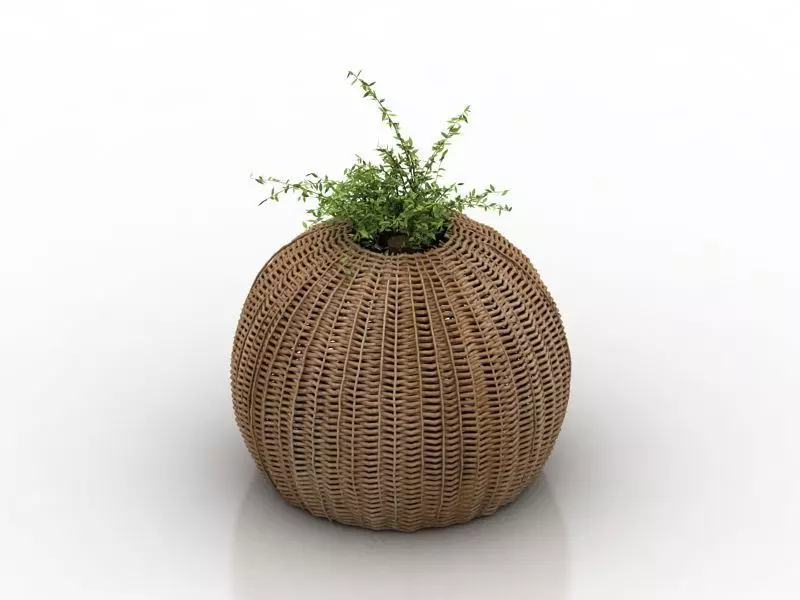 plant modern Free 3D model